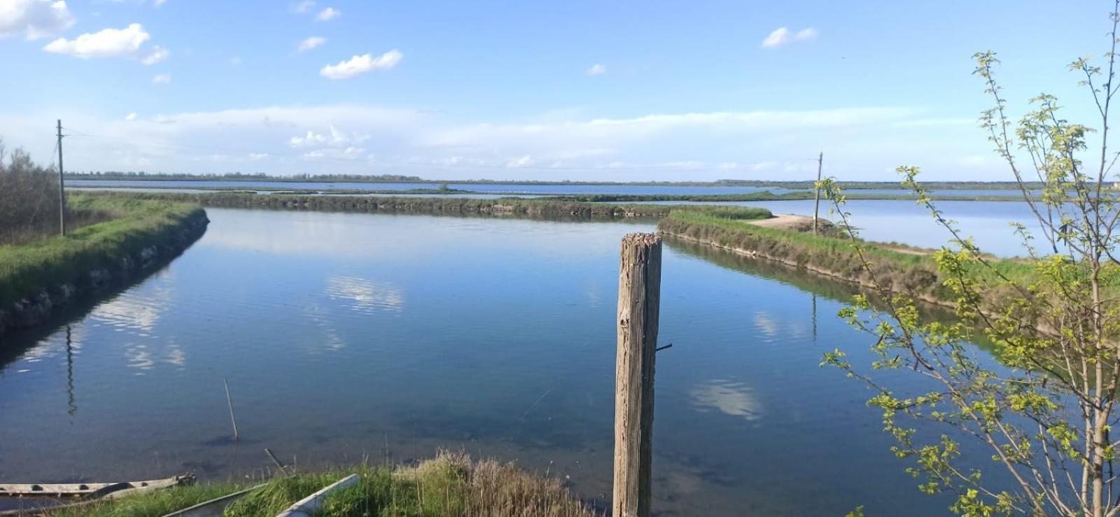 Casa Vacanze Nel Delta Del Po Taglio di Po Eksteriør billede