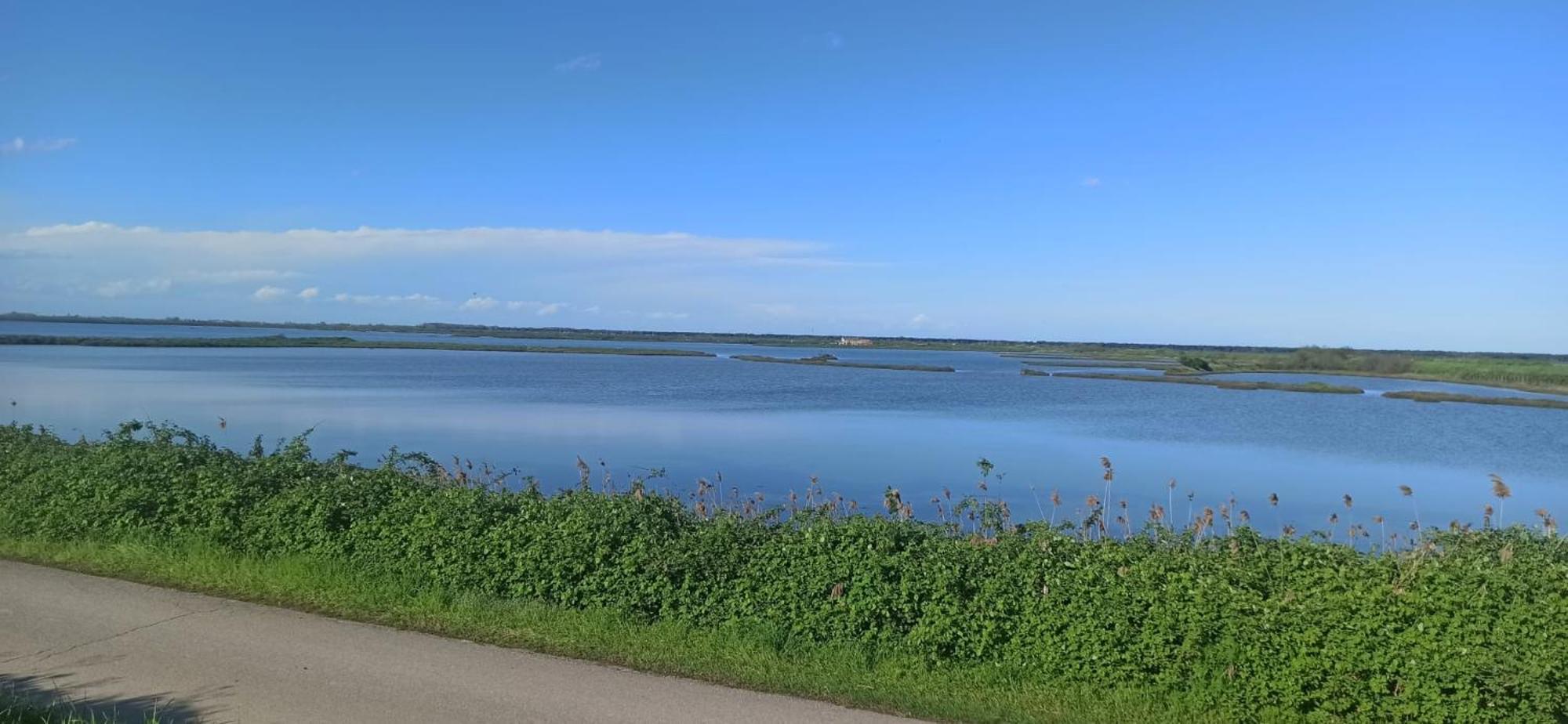 Casa Vacanze Nel Delta Del Po Taglio di Po Eksteriør billede