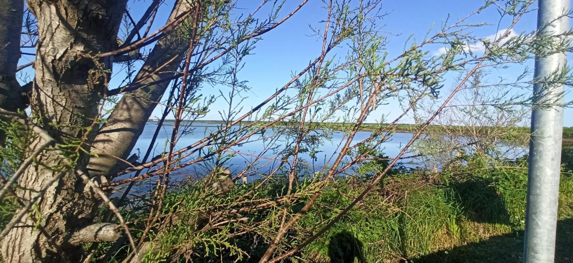 Casa Vacanze Nel Delta Del Po Taglio di Po Eksteriør billede