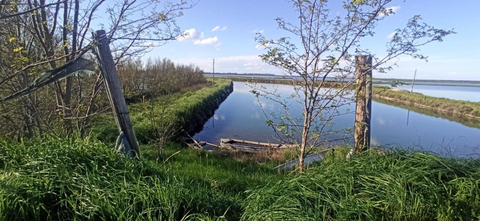 Casa Vacanze Nel Delta Del Po Taglio di Po Eksteriør billede