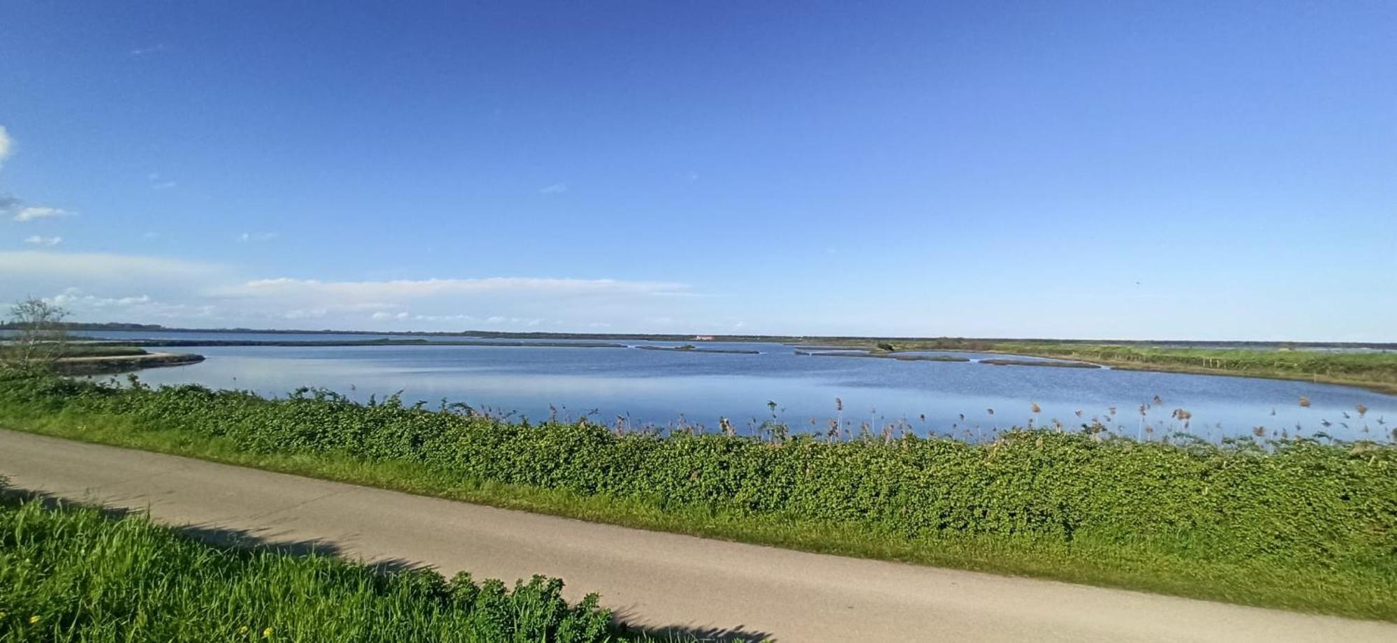 Casa Vacanze Nel Delta Del Po Taglio di Po Eksteriør billede