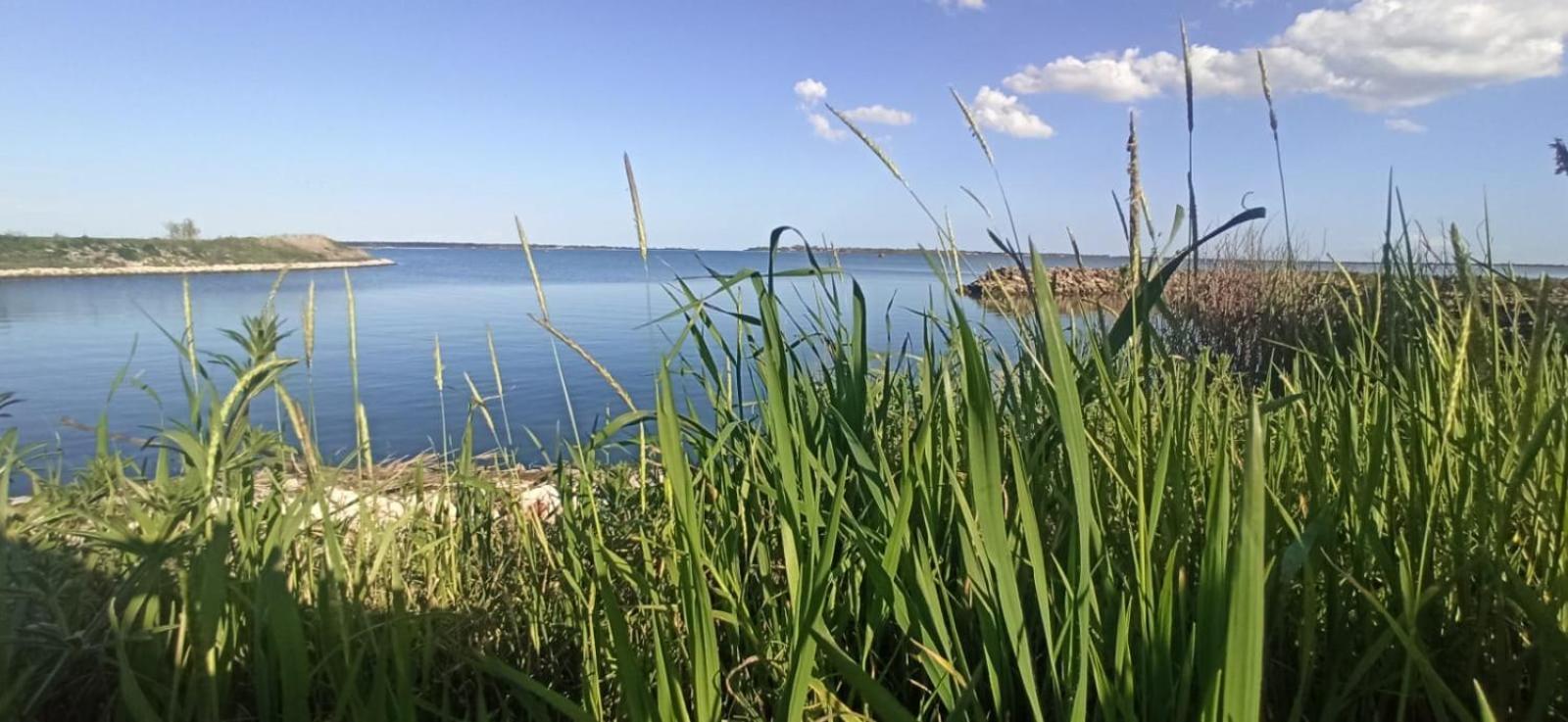 Casa Vacanze Nel Delta Del Po Taglio di Po Eksteriør billede