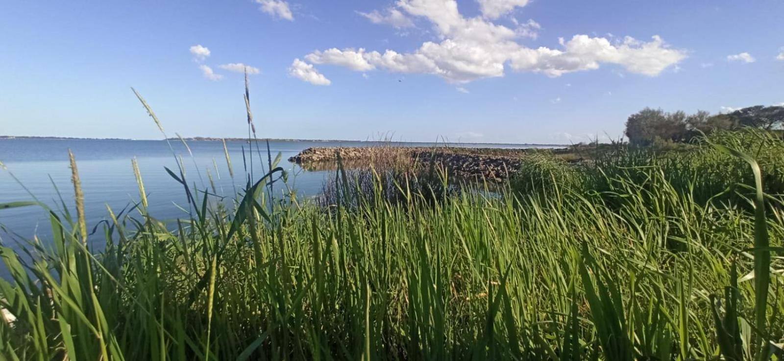 Casa Vacanze Nel Delta Del Po Taglio di Po Eksteriør billede