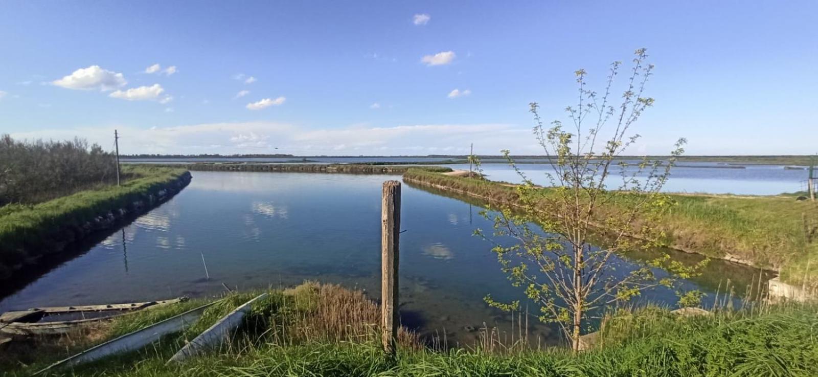 Casa Vacanze Nel Delta Del Po Taglio di Po Eksteriør billede