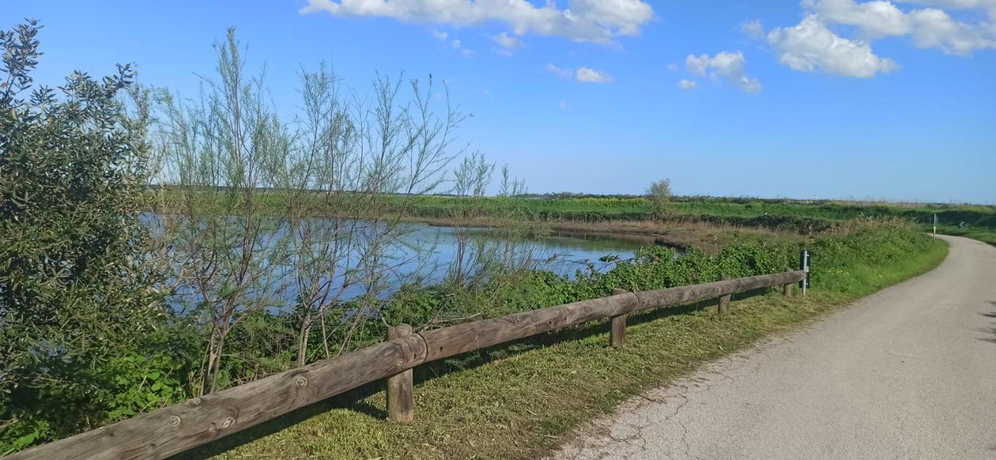 Casa Vacanze Nel Delta Del Po Taglio di Po Eksteriør billede
