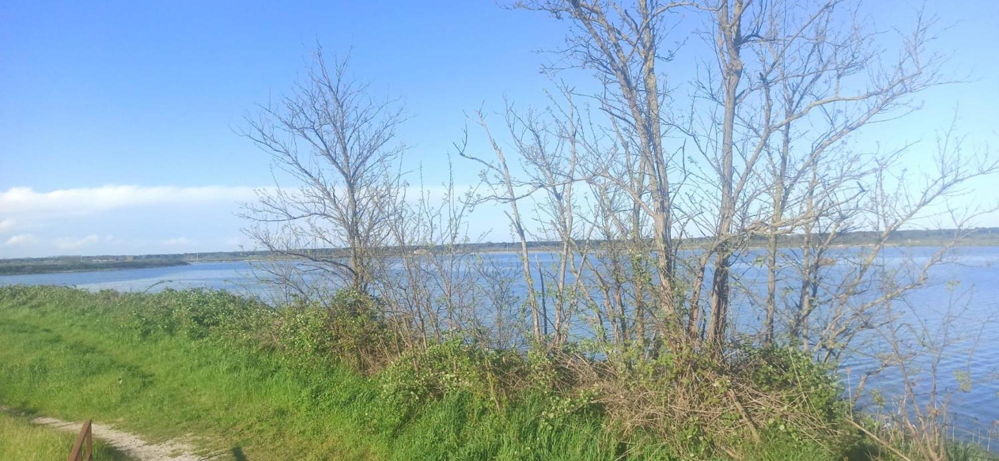 Casa Vacanze Nel Delta Del Po Taglio di Po Eksteriør billede