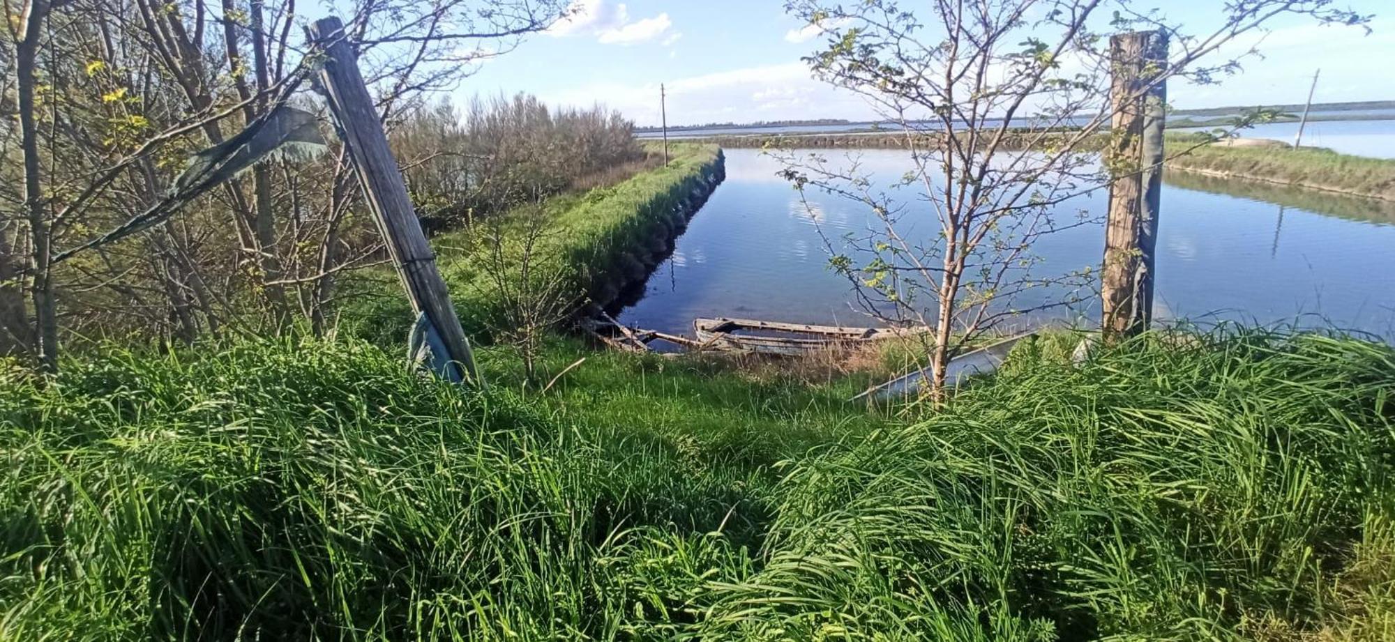 Casa Vacanze Nel Delta Del Po Taglio di Po Eksteriør billede
